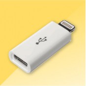 USB-Lightning (39)
